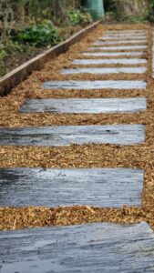 WhatsApp Image 2026-01-21 at 13.04.51dd